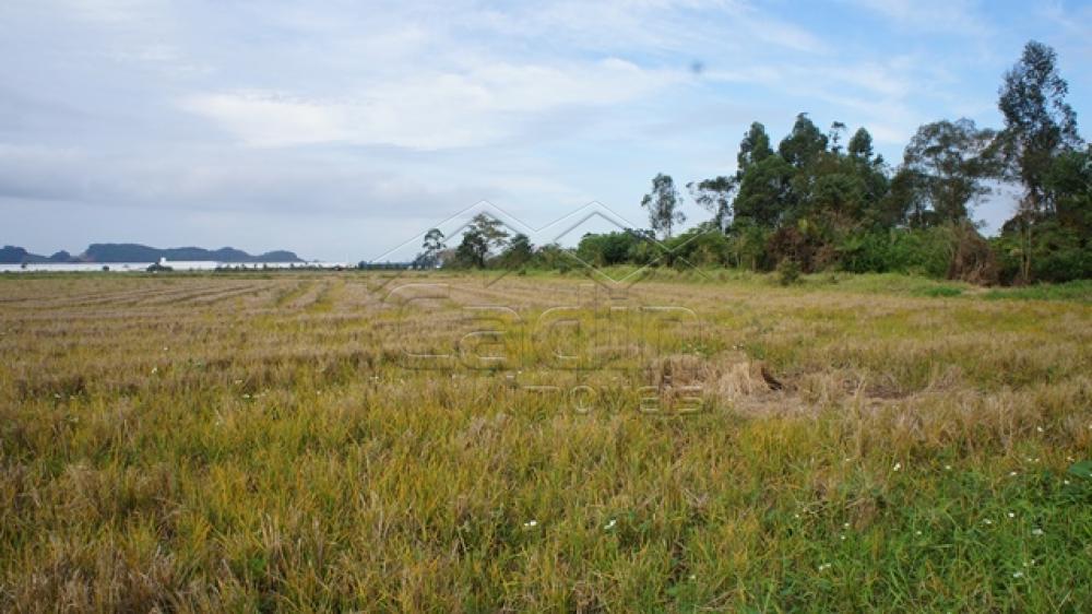 Comprar Terreno / Área em Navegantes R$ 8.500.000,00 - Foto 6 Comprar Terreno / Área em Navegantes R$ 8.500.000,00 - Foto 6