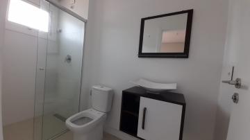 Alugar Apartamento / Padrão em Navegantes R$ 3.500,00 - Foto 41 Alugar Apartamento / Padrão em Navegantes R$ 3.500,00 - Foto 41