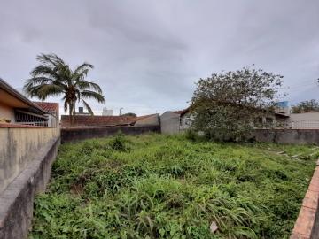 imagem 2 - TERRENO PARA ALUGAR R$ 1.518,00 BAIRRO GRAVATÁ, NAVEGANTES-SC. imagem 2 - TERRENO PARA ALUGAR R$ 1.518,00 BAIRRO GRAVATÁ, NAVEGANTES-SC.